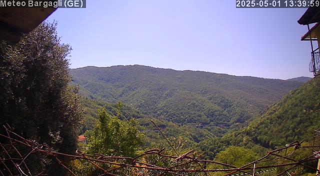 webcam image missing into:wp-content/uploads/webcam/P25050113395910.jpg