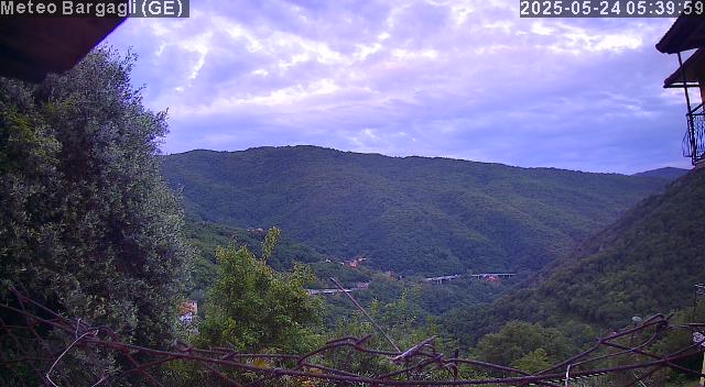 webcam image missing into:wp-content/uploads/webcam/P25052405395910.jpg