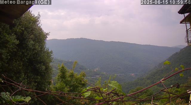 Webcam img missing