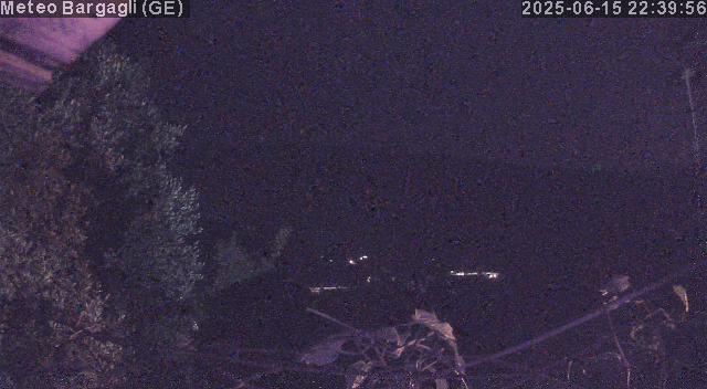 Webcam img missing