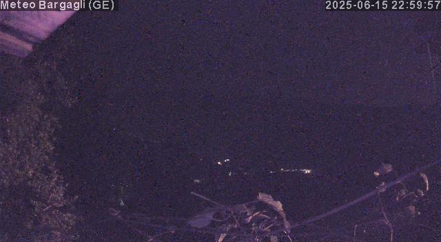 Webcam img missing