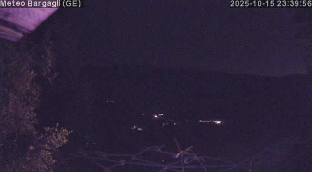 Webcam img missing